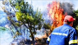 Fire Service: 34 agricultural and forest fires in past 24 hours