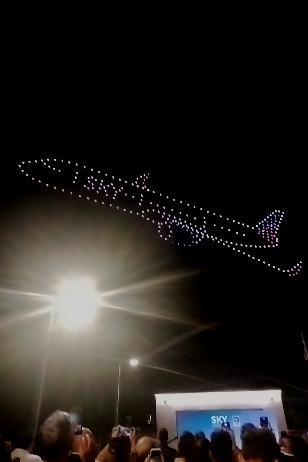 thumbnail_skyexpress1