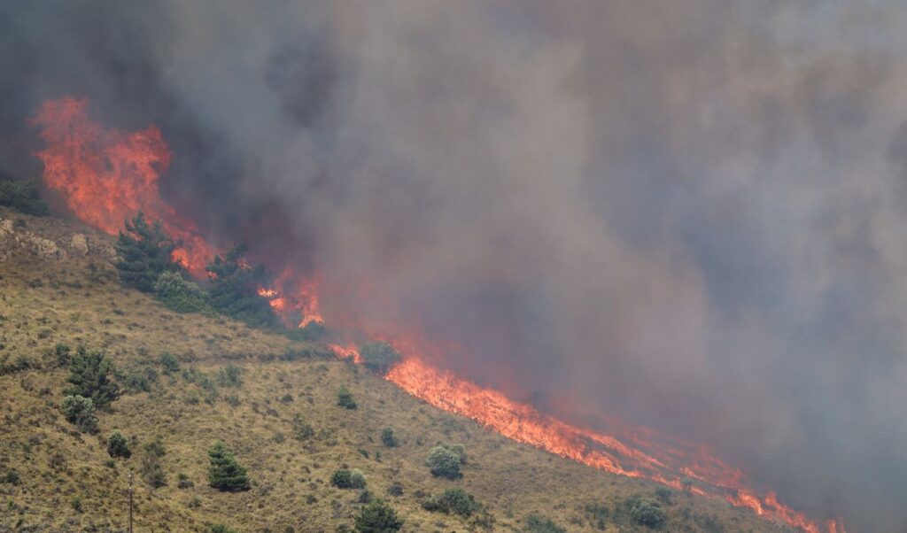 Chios wildfire: Island declares state of emergency as blazes rage