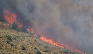 Chios wildfire: Island declares state of emergency as blazes rage