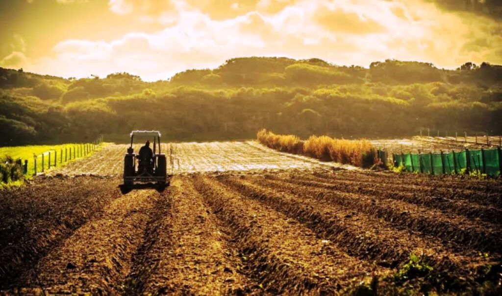 Greece returns fuel tax refunds to 82,392 farmers worth €21.7M