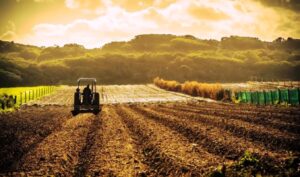 Greece returns fuel tax refunds to 82,392 farmers worth €21.7M