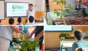 Greek power company teaches Crete students sustainability through aquaponics