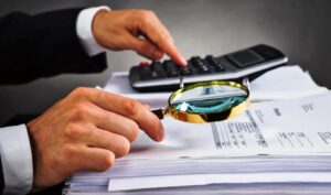 Digital “Safari” for Hidden Income: Tax Crackdown on Airbnb, Rentals, VAT, and Backdated Payments