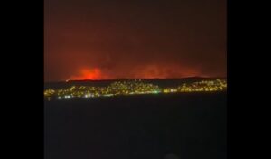 Turkey wildfires rage out of control: 31 arrested for arson