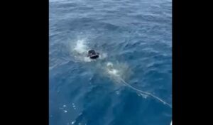 Spain: Migrant rescued swimming from Morocco with inflatable ring