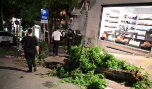 Kolonaki: The restaurant’s official statement after the car crash