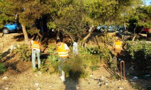 Civil protection volunteer cards now available through gov.gr