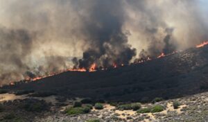 Very high fire risk alert issued for Friday July 4 – Areas on high alert