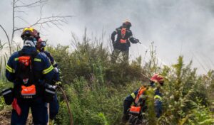 Civil Protection: Several Greek regions on high fire alert Saturday