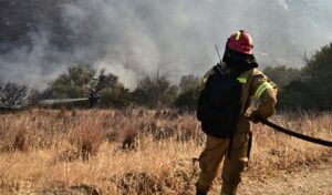 Fire Service: 42 wildfires in 24 hours across Greece – Six remain active