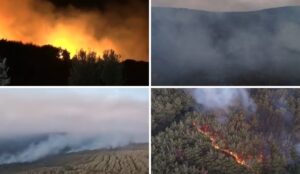 Turkey wildfires: Seven settlements evacuated as smoke reaches Greece