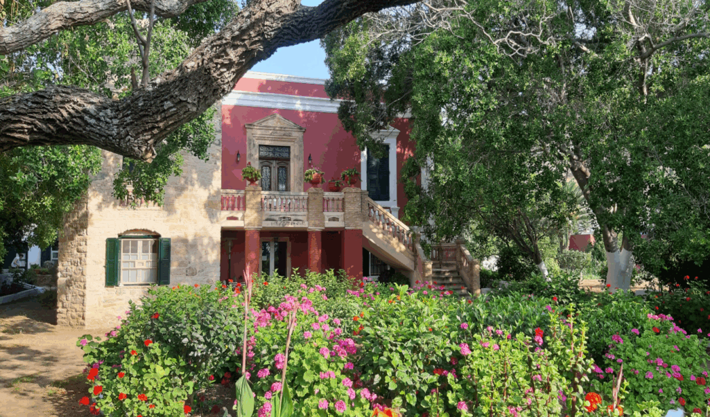 Where vegan paradise has no television: A unique Greek escape