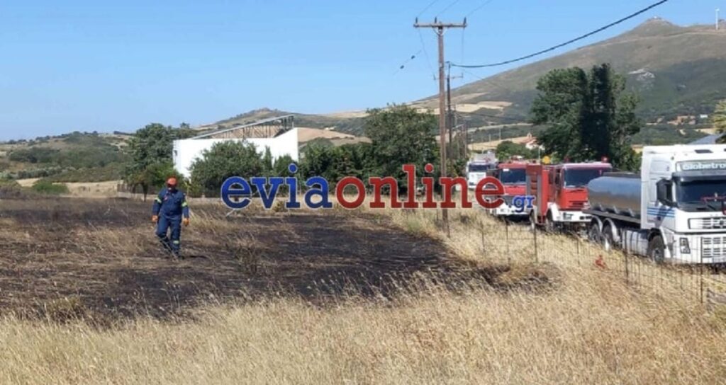 Fires in Evia: New investigation into 6 children suspected of arson