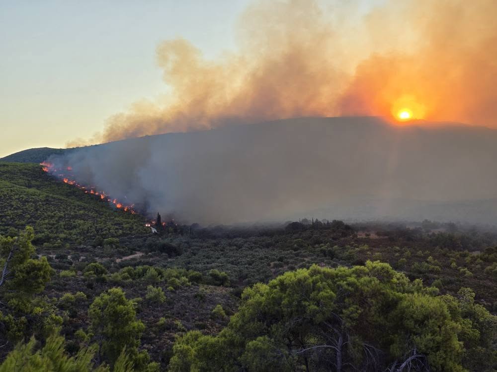 fotia-zakynthos2
