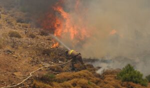 Emergency fire risk measures in 5 regions as Greece braces for Friday