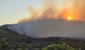 Greece battles multiple wildfires: Evacuations in Zakynthos, Preveza, Arta and Vonitsa as blazes threaten villages