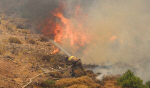Wildfires turn over 100,000 acres to ash in Greece
