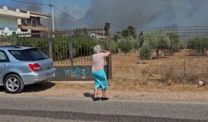 Keratea fire: “My forest is gone” – Heartbreaking cries of elderly woman
