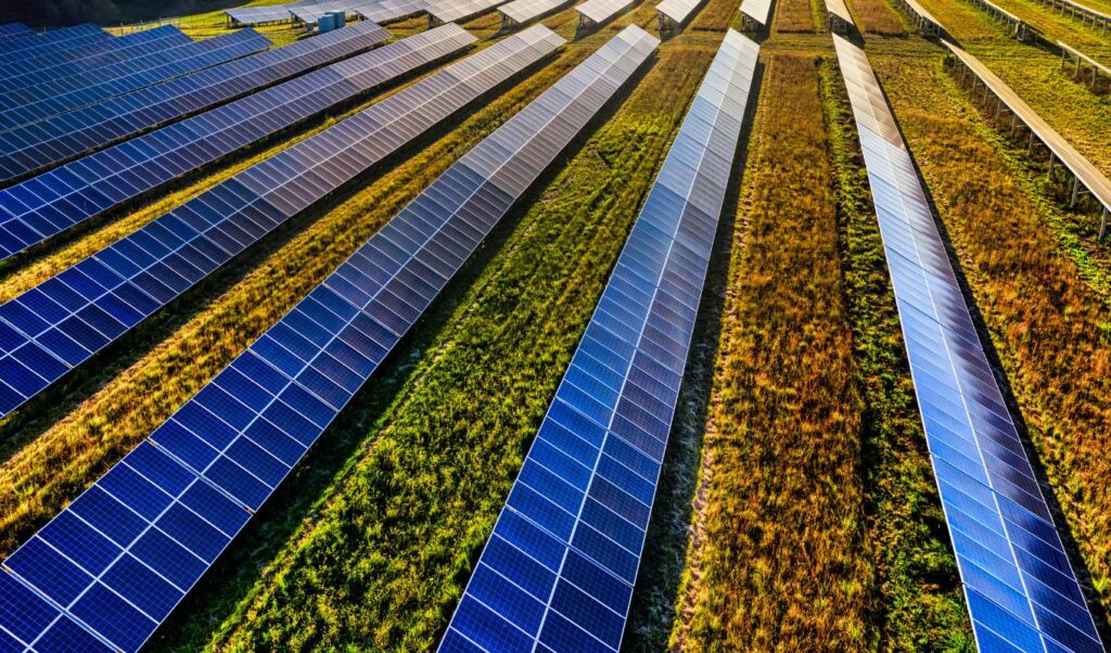 China builds world’s largest solar park to combat climate crisis