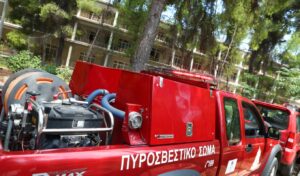 Metsovo: 54-year-old man injured after tree crushes him, rescued and hospitalized