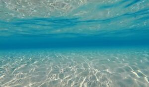 Rodopi: Autopsy reveals 11-year-old girl’s cause of death after tragic drowning incident