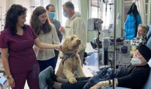 Health minister backs therapy dogs for cancer patients at Metaxa Hospital