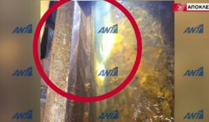 Ferry hull breach photos revealed – Why the ship didn’t sink
