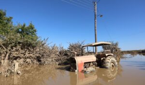 Thessaly-Phthiotis: Compensation from €70 to €5,301 per acre