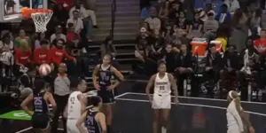 WNBA fan arrested for throwing sex toy onto court during game