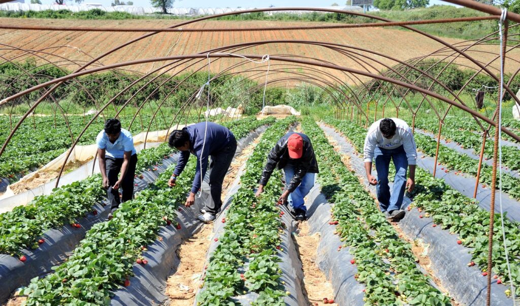 Greece to welcome 100,000+ foreign workers in 2026 amid labor shortage