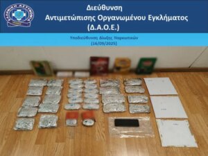 Athens Airport drug bust: 30-year-old caught with 8kg heroin