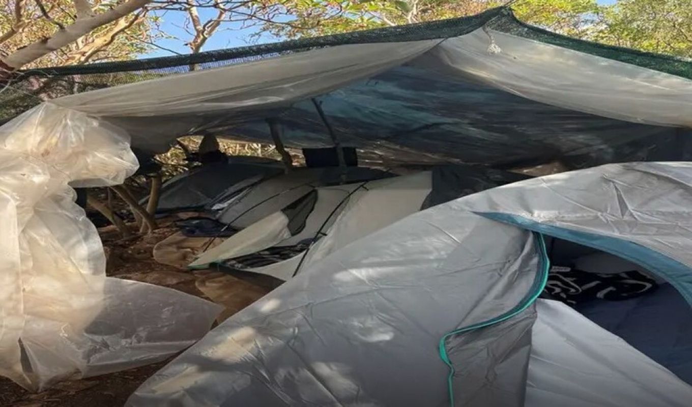 Drug trafficking ring with €8 million profits busted: Over one ton of cannabis and heavy weapons seized