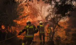 Climate crisis fuels 98% more lightning fires: 20,000 deaths annually by 2050
