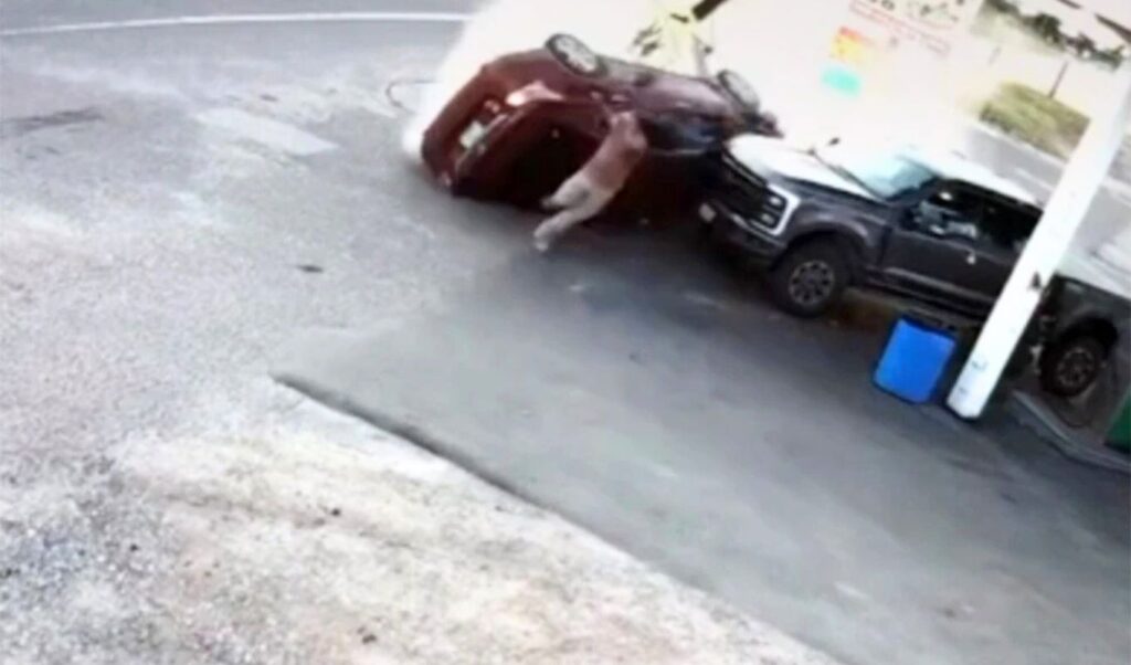 Shocking accident in Nebraska: Man narrowly escapes death as car crashes into gas station