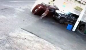 Shocking accident in Nebraska: Man narrowly escapes death as car crashes into gas station