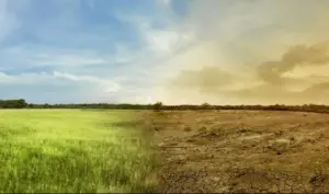 Climate change: 1.5°C target “on brink of collapse”, UN warns