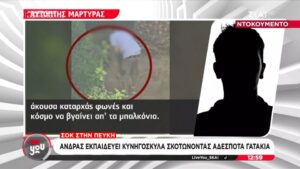 Shocking animal cruelty in Athens: Man trains hunting dogs to kill stray kittens