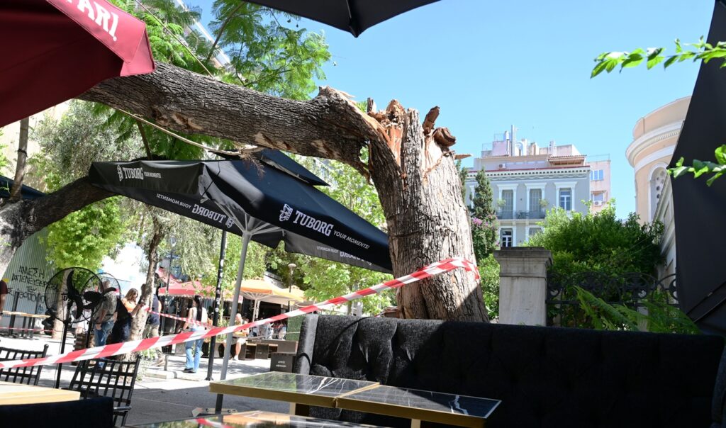 Shocking tree collapse in central Athens injures two
