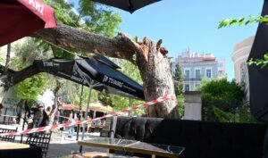 Shocking tree collapse in central Athens injures two