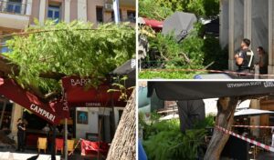 Tree falls at Agia Eirini square: “Second incident in three weeks”