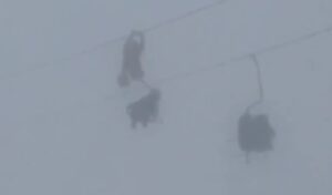 Russia cable car tragedy: Three dead, nine injured as tourists crash into rocks