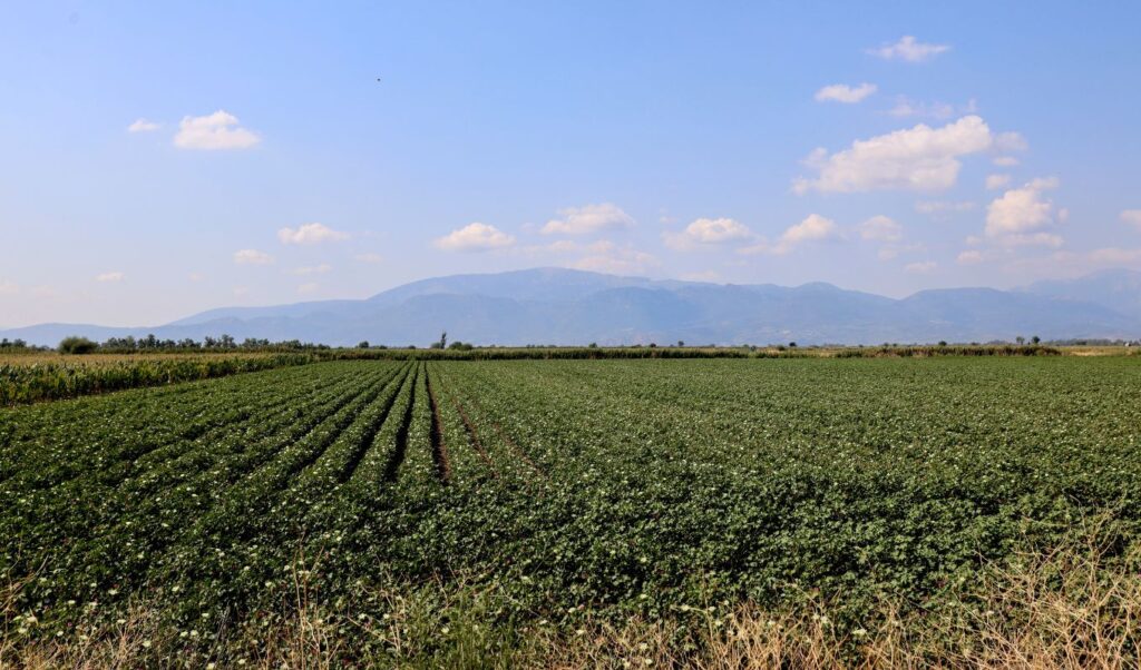 EU Commission warns Greece: Agricultural subsidies frozen if compliance framework not submitted by October 2