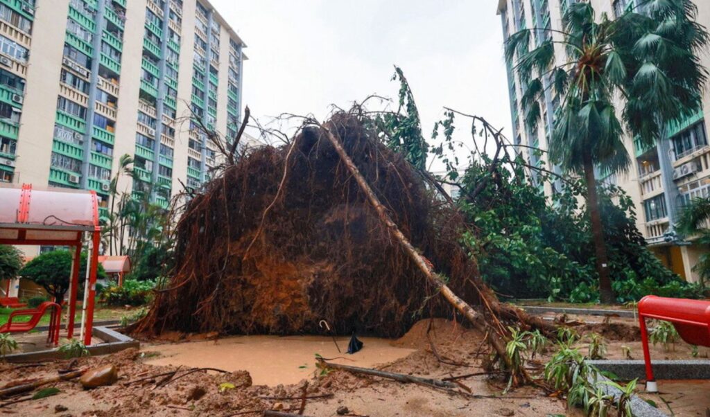 Hong Kong: Biblical destruction from super typhoon Ragasa
