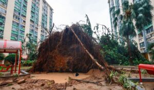 Hong Kong: Biblical destruction from super typhoon Ragasa
