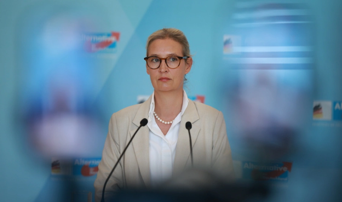 Shock German poll: AfD leads as CDU/CSU collapses - Coalition loses ...