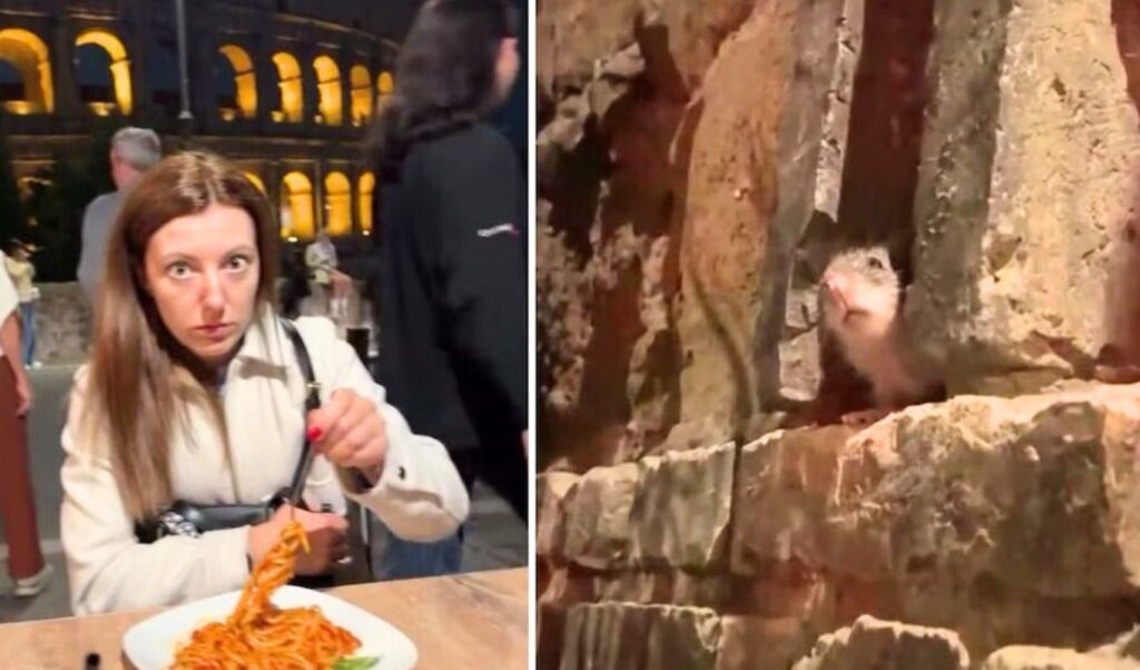 Italy: Rat ruins romantic dinner for couple in Rome – Woman’s reaction goes viral (Video)