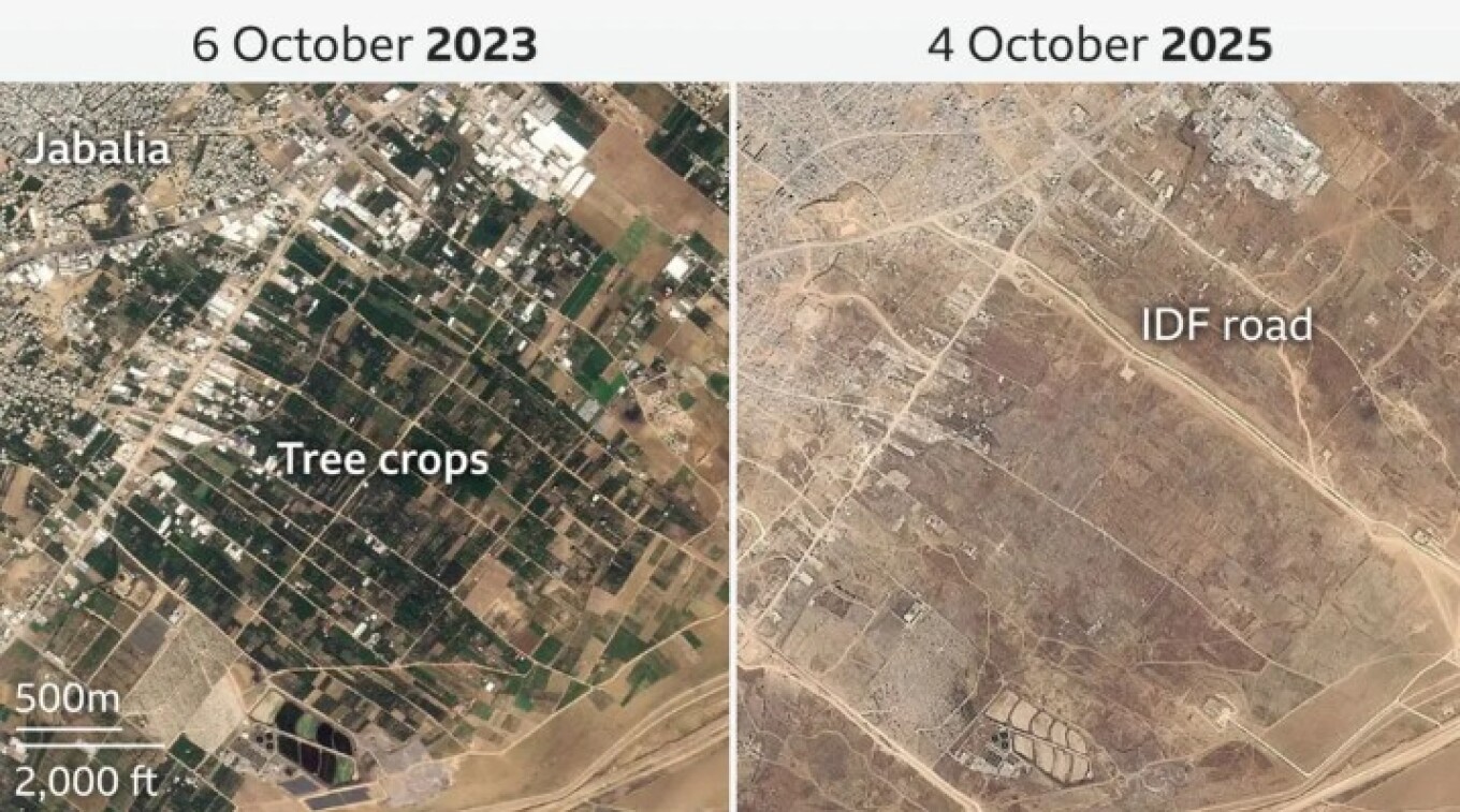 gaza_crops