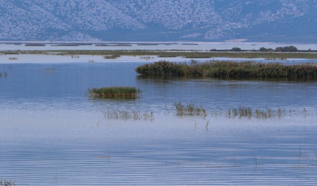 OPEKEPE scandal: Parapolitika.gr exposes Lake Karla fraud