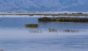 OPEKEPE scandal: Parapolitika.gr exposes Lake Karla fraud